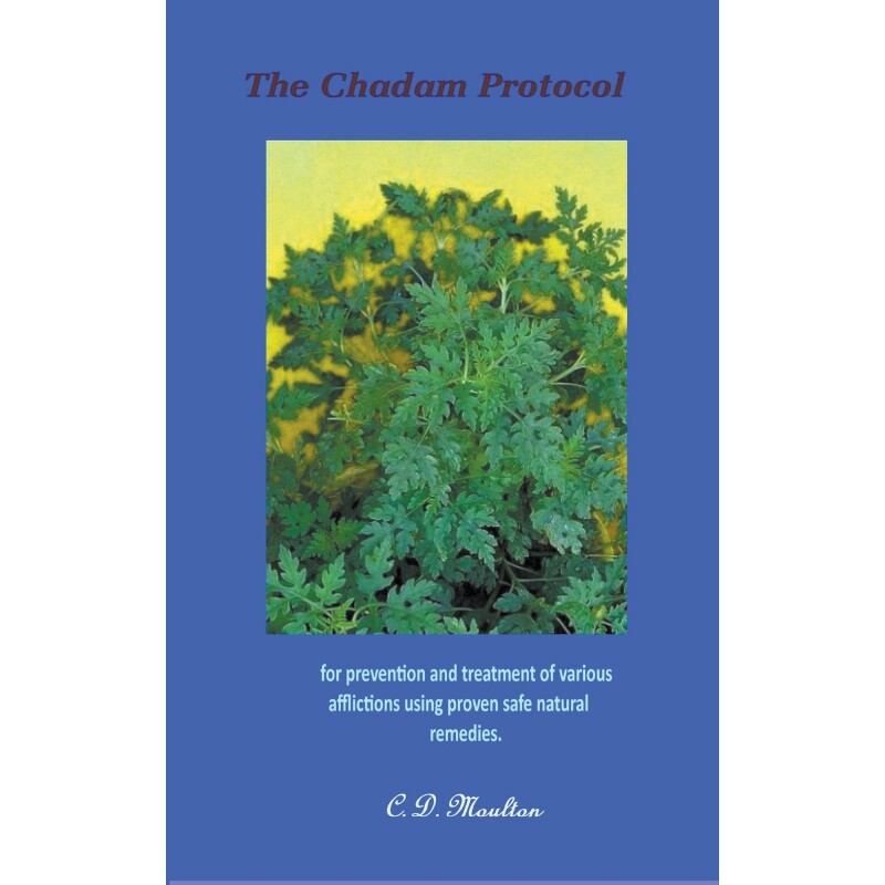 按需印刷不退不换The Chadam Protocol[9798201798758]