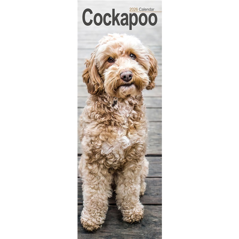 预订,预计下单后4-6周左右发货