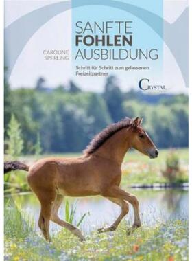 预订【德语】 Sanfte Fohlenausbildung:Schritt für Schritt zum gelassenen Freizeitpartner