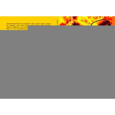 按需印刷High-dimensional Data Analysis[9783836493093]