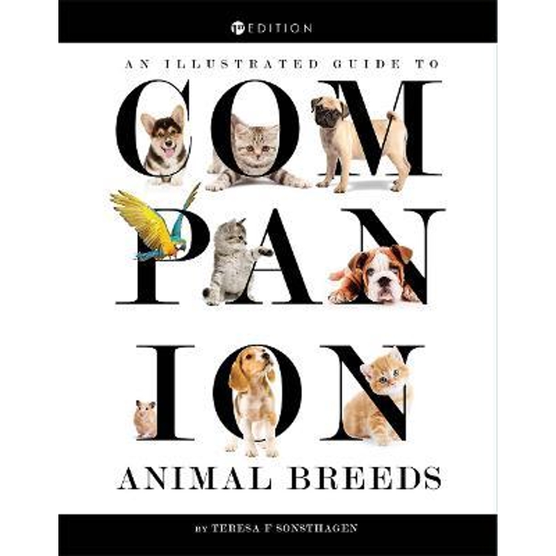 预订，预计下单后2-3周左右发货！