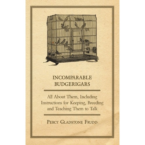 预订，预计下单后2-3周左右发货！