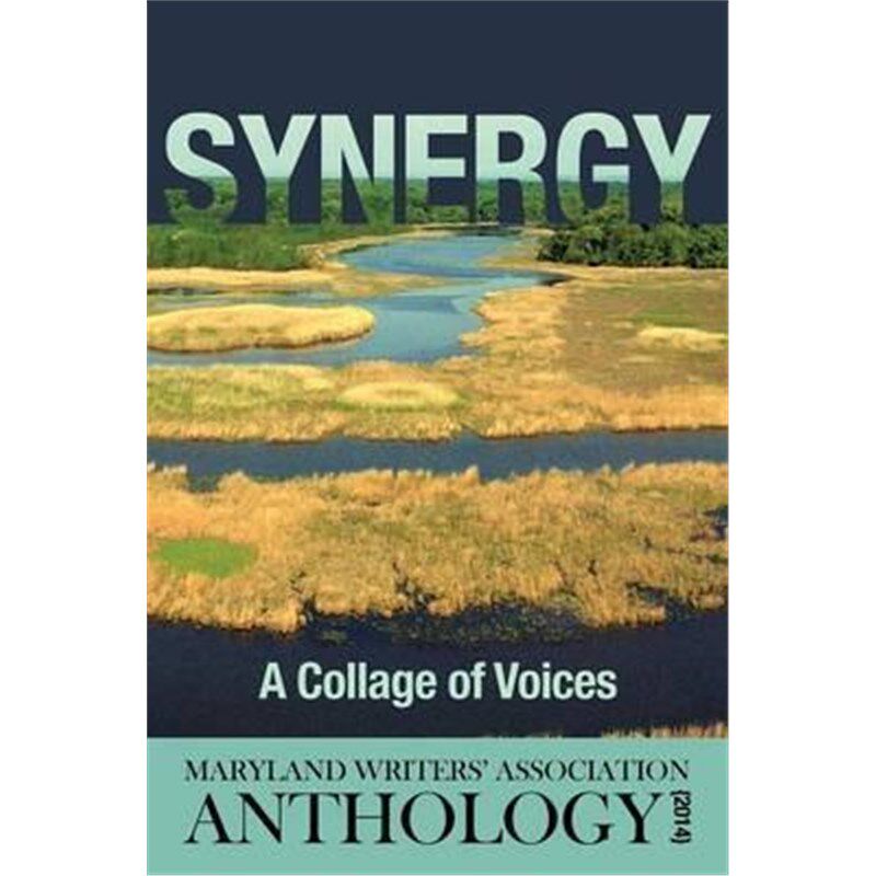 按需印刷不退不换Synergy:A Collage of Voices Anthology 2014[9781627200899]
