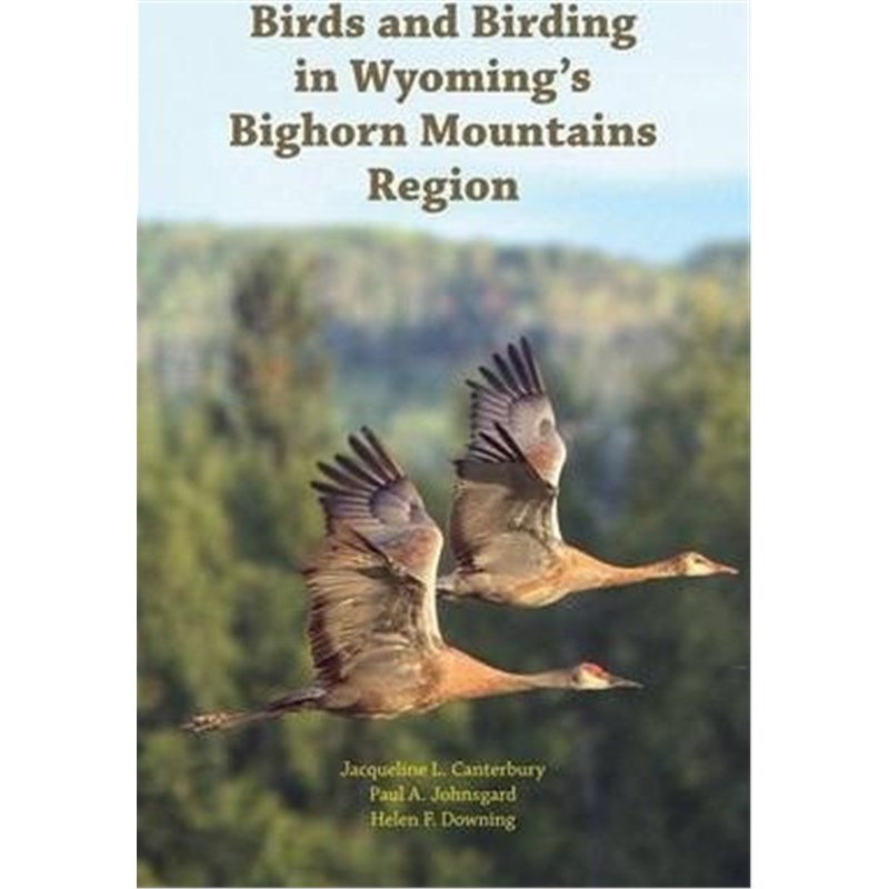 预订，预计下单后3-4周左右发货！