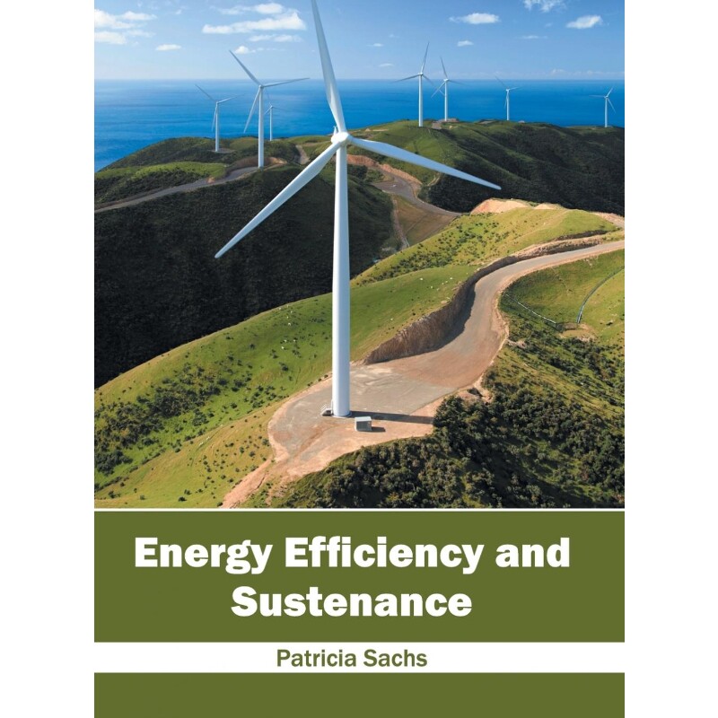 按需印刷不退不换Energy Efficiency and Sustenance[9781632405609]