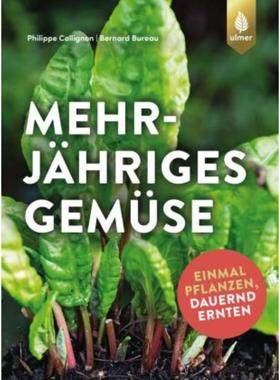 预订【德语】 Mehrjähriges Gemüse:Einmal pflanzen, dauernd ernten