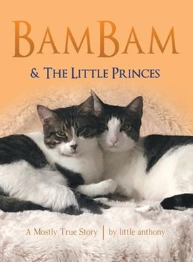 预订Bambam & the Little Princes:A Mostly True Story