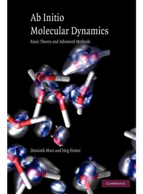 按需印刷Ab Initio Molecular Dynamics:Basic Theory and Advanced Methods[9780521898638]