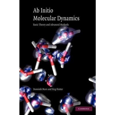 按需印刷Ab Initio Molecular Dynamics:Basic Theory and Advanced Methods[9780521898638]