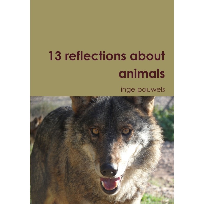 预订，预计下单后2-3周左右发货！