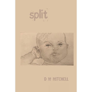 按需印刷不退不换SPLIT 9781471746543