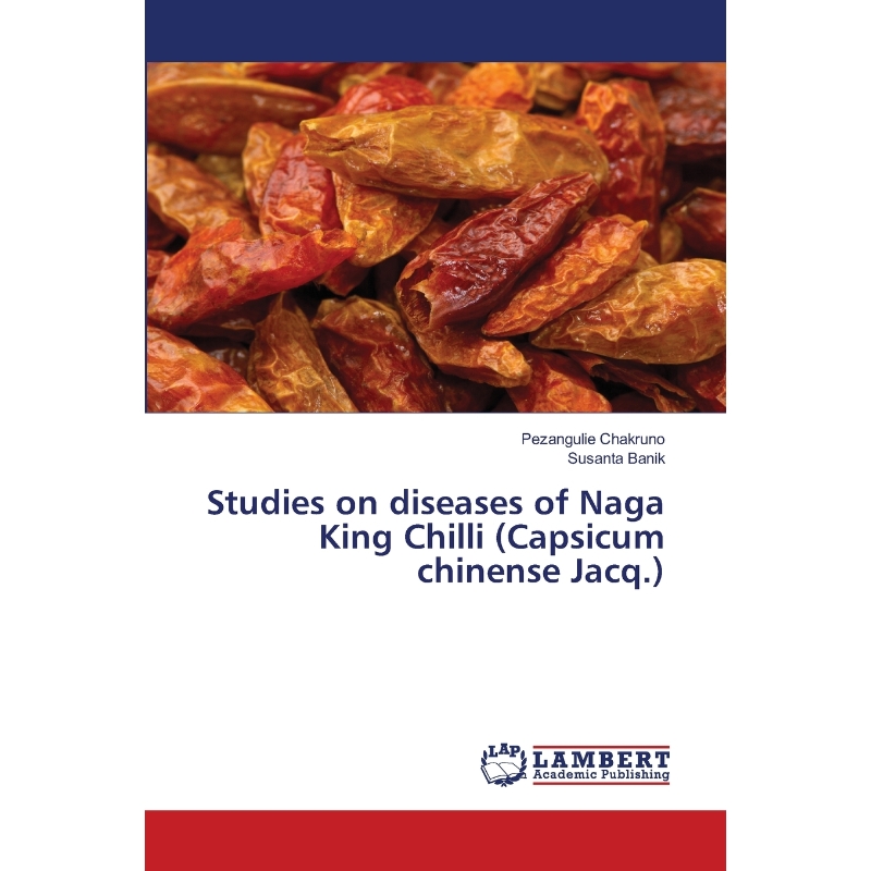 预订，预计下单后2-3周左右发货！