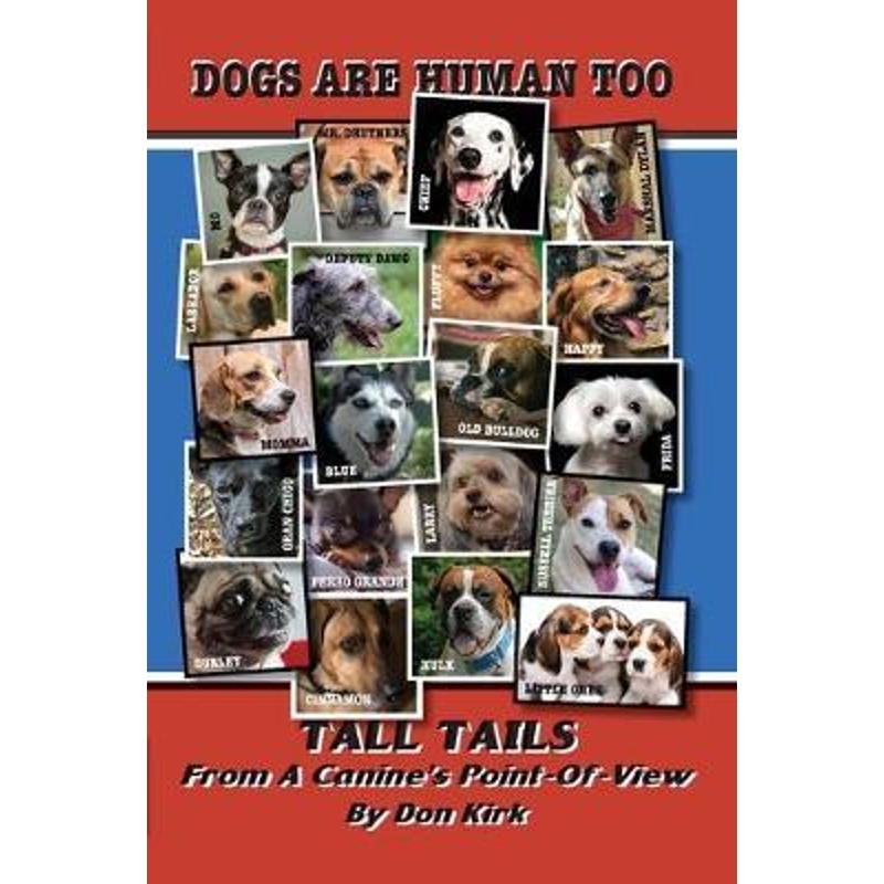 预订，预计下单后2-3周左右发货！