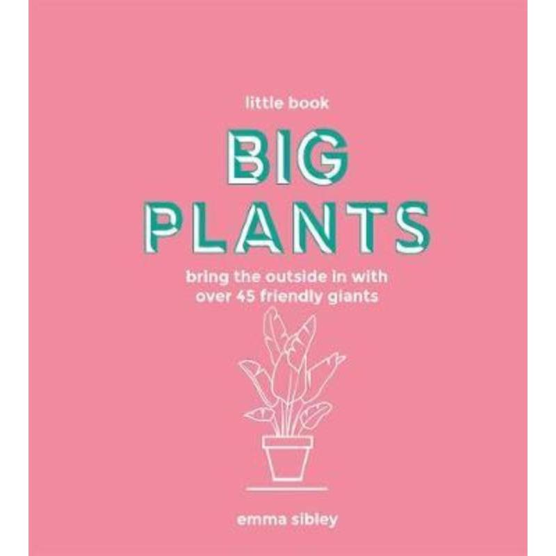 预订,预计下单后3-6周左右发货!