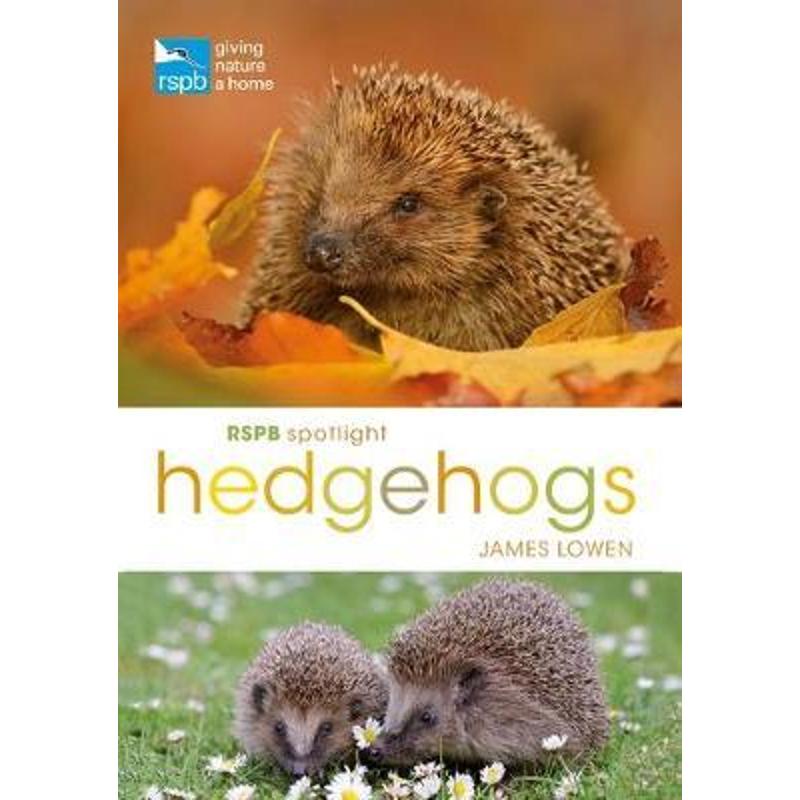 预订RSPB Spotlight Hedgehogs