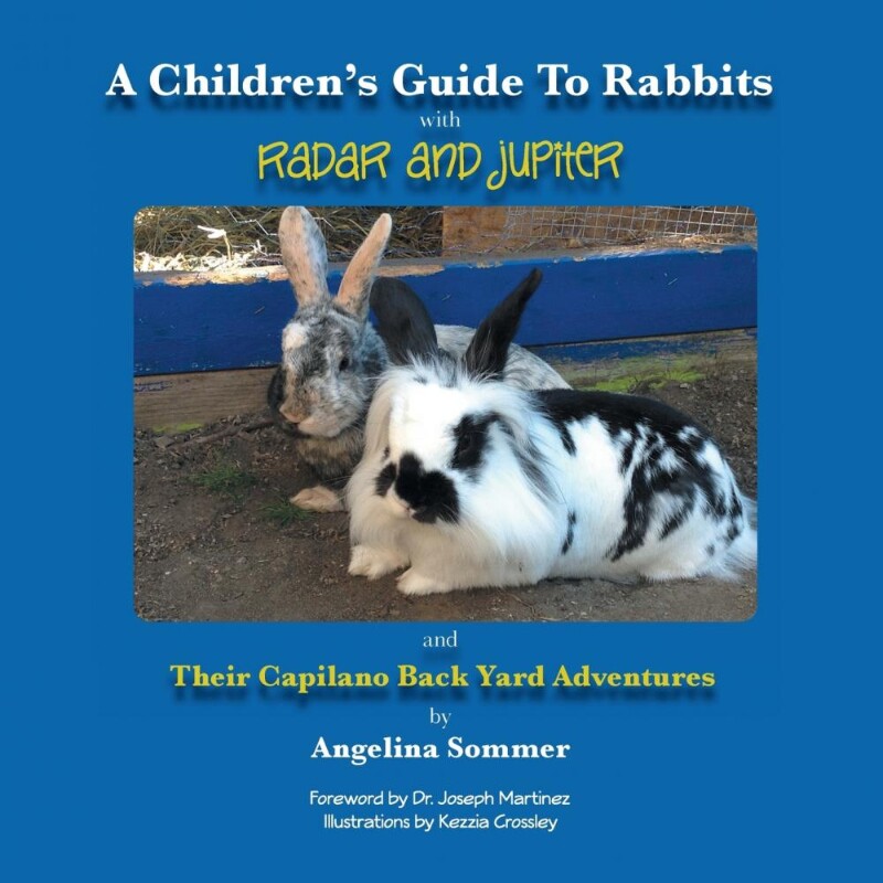 按需印刷不退不换A Children's Guide for Rabbits with Radar and Jupiter and Their Capilano Back Yard Adventures[9781490725