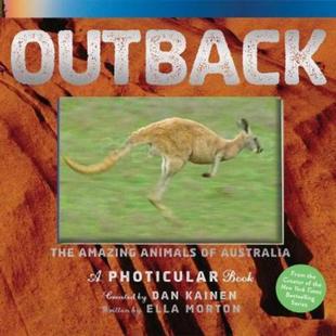 Animals The 光与影3D立体视觉儿童书 Photicular 书 会动 Amazing Book Australia 预订Outback