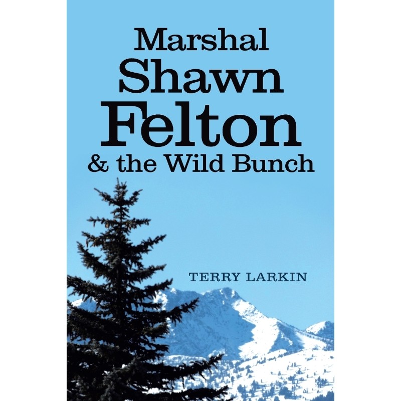 预订，预计下单后2-3周左右发货！