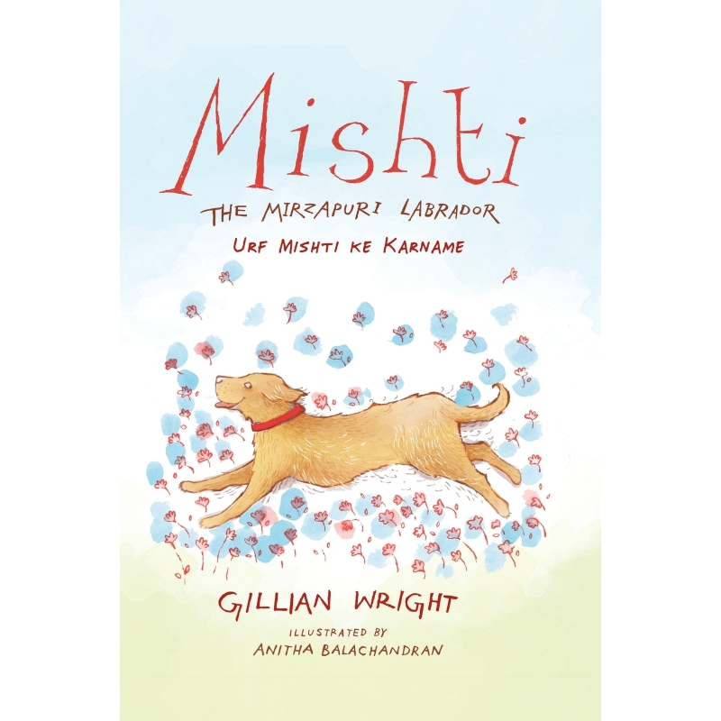 预订，预计下单后2-3周左右发货！