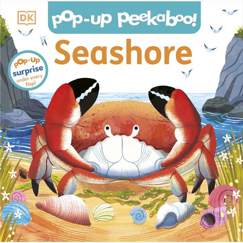 现货 海岸躲猫猫立体书 Pop-Up Peekaboo! Seashore 英文原版 上海外文 9780241792247