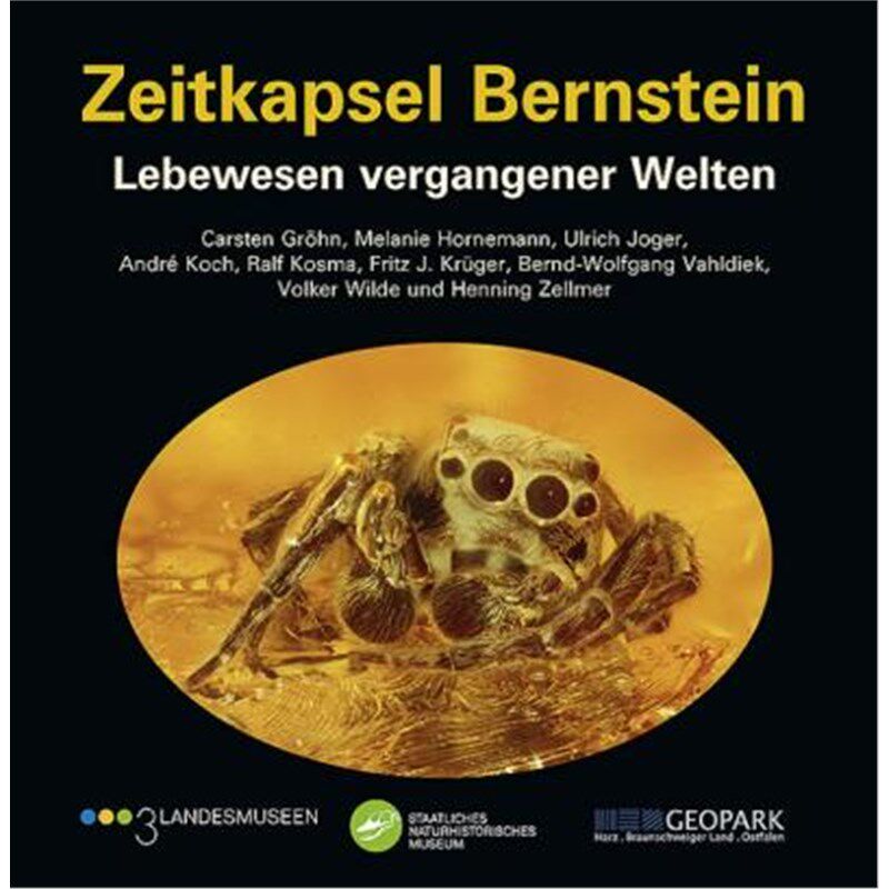 预订【德语】 Zeitkapsel Bernstein:Lebewesen vergangener Welten