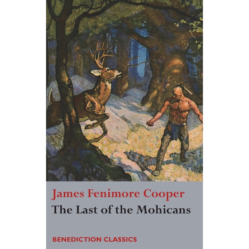 预订，预计下单后2-3周左右发货！