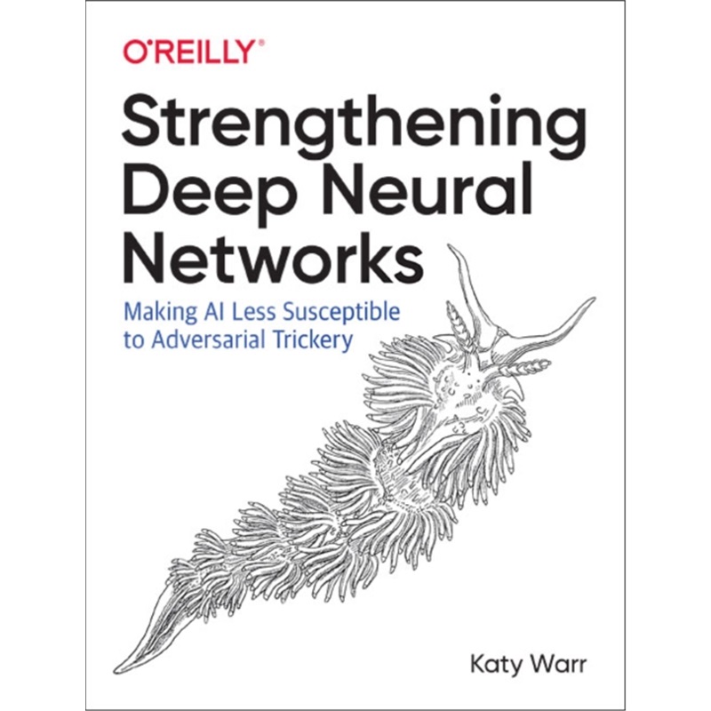 预订Strengthening Deep Neural Networks[9781492044956]