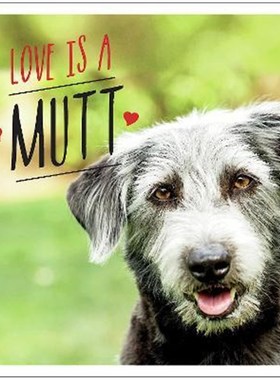 预订Love is a Mutt:A Dog-Tastic Celebration of the World's Cutest Mixed and Cross Breeds