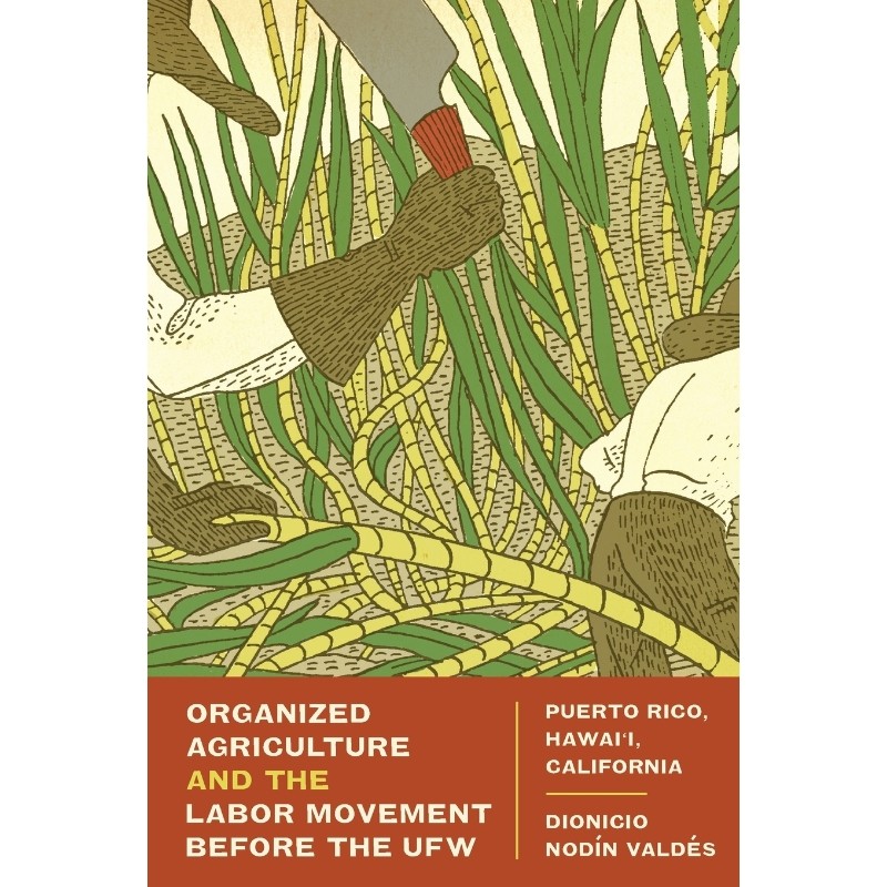 预订，预计下单后2-3周左右发货！