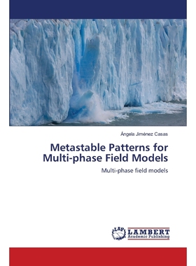 按需印刷Metastable Patterns for Multi-phase Field Models[9786203307375]