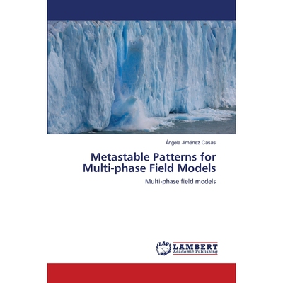 按需印刷不退不换Metastable Patterns for Multi-phase Field Models[9786203307375]