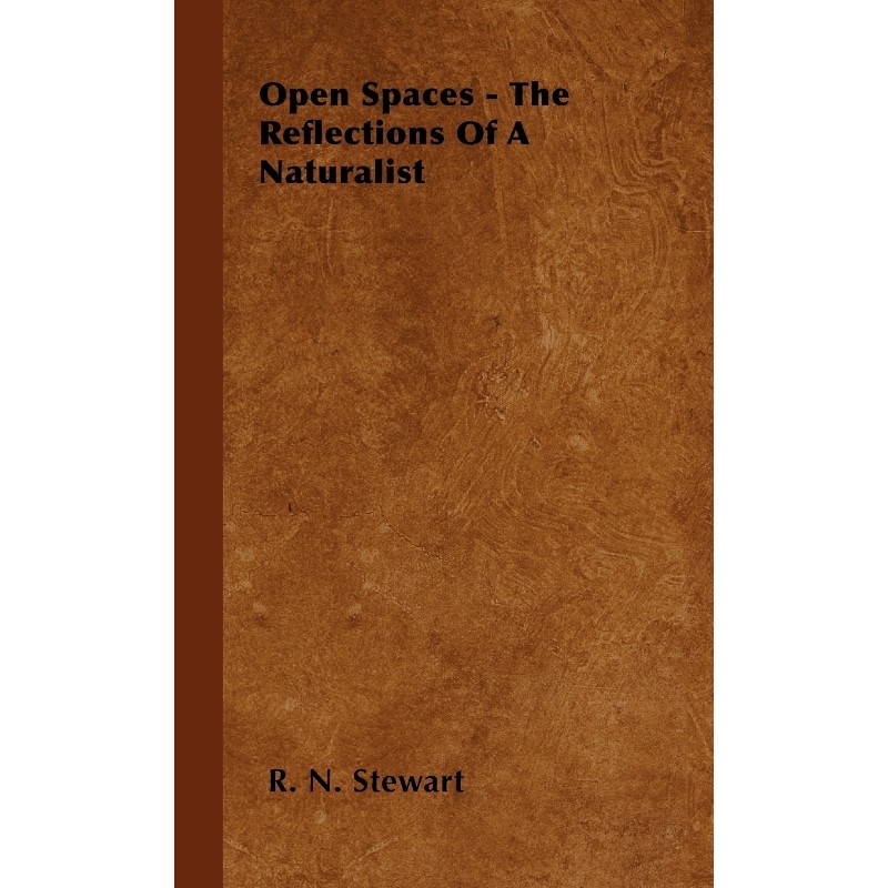 预订，预计下单后2-3周左右发货！