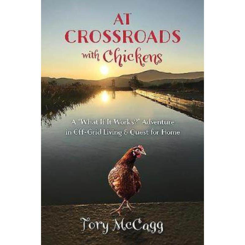 预订，预计下单后3-6周左右发货！