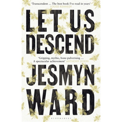让我们降临 Let Us Descend 英文原版 上海外文书店