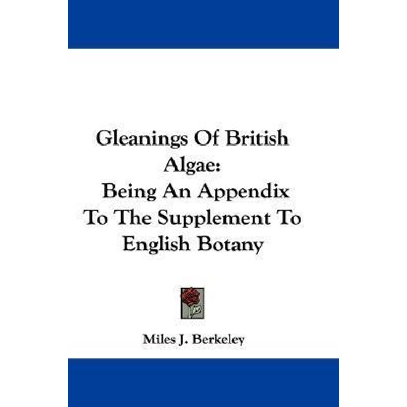 预订，预计下单后2-3周左右发货！