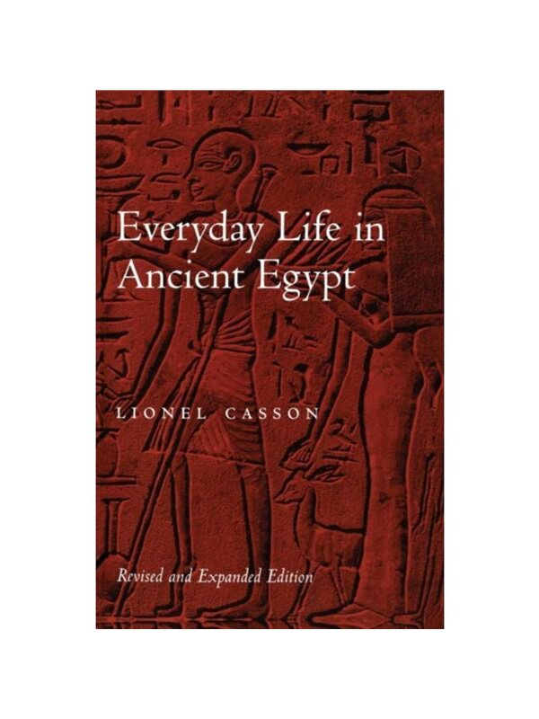 预订，预计下单后3-6周左右发货！