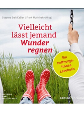 预订【德语】Vielleicht lasst jemand Wunder regnen[9783438062789]