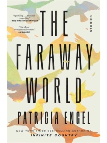 预售【2024新书】Faraway World