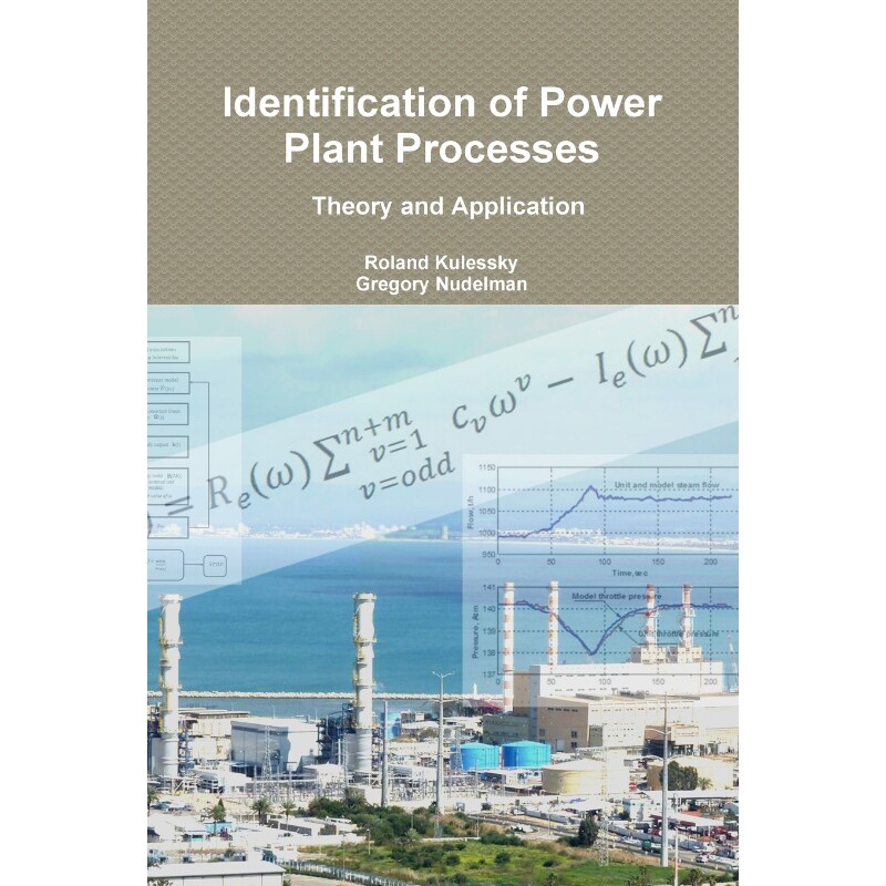 按需印刷不退不换Identification of Power Plant Processes - Theory and Application[9781329498389]