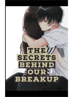 按需印刷The Secrets Behind Our Breakup
