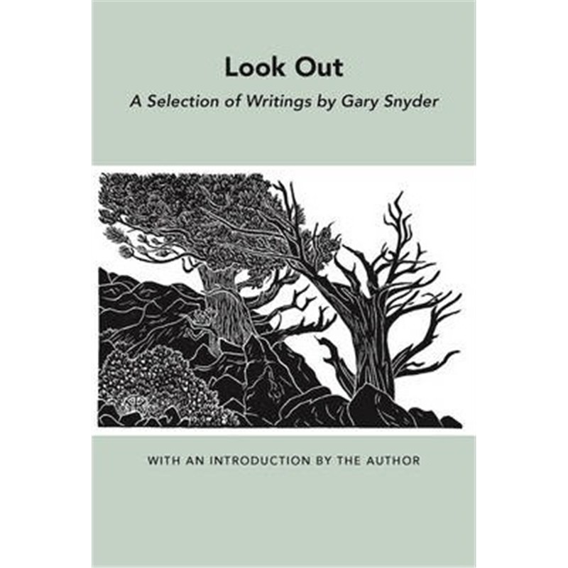 预订look out:a selection of writings