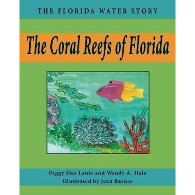 预订,预计下单后2-3周左右发货!