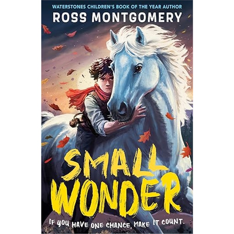 现货 小奇迹 Small Wonder 英文原版 Ross Montgomery 我叫勒贝尔作品 儿童读物 平装 奇幻冒险小说 [9781529526127]