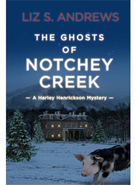 预订不退不换Ghosts of Notchey Creek