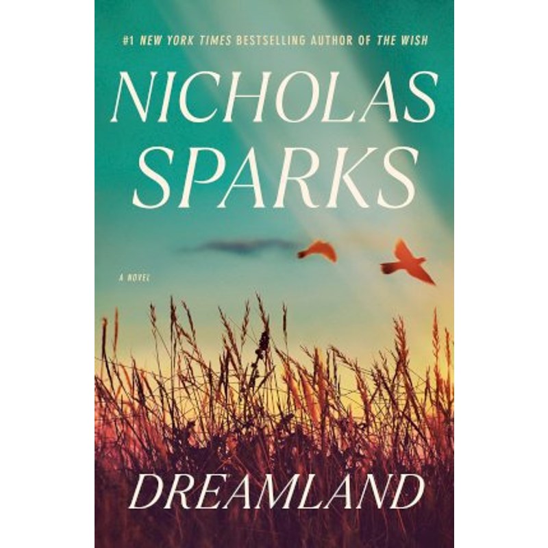 恋恋笔记本作者 dreamland: a novel 英文原版 尼古拉斯·斯帕克思