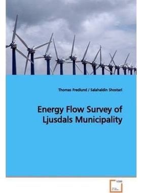 按需印刷Energy Flow Survey of Ljusdals Municipality[9783639165432]