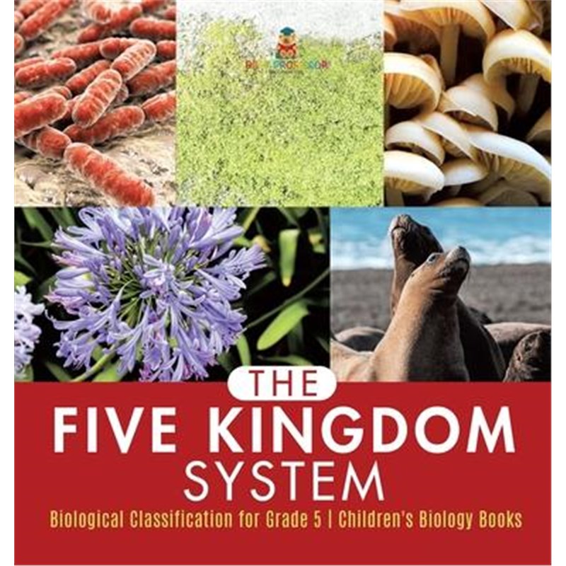 预订，预计下单后3-4周左右发货！