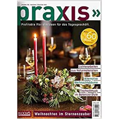 预订不退不换德语PRAXIS Nr. 102:Profitable Floristikideen für das Tagesgeschäft