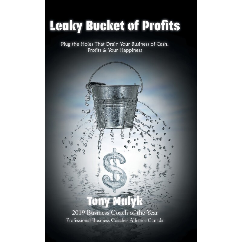 按需印刷不退不换Leaky Bucket of Profits[9780228815754]