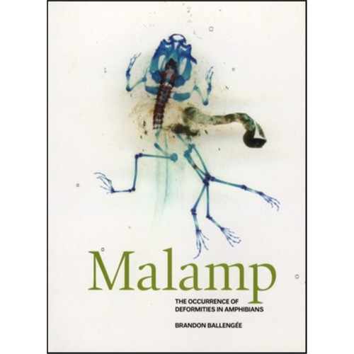 预订，下单后3-4周发货！